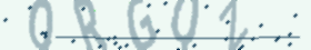 captcha text