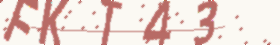 captcha text